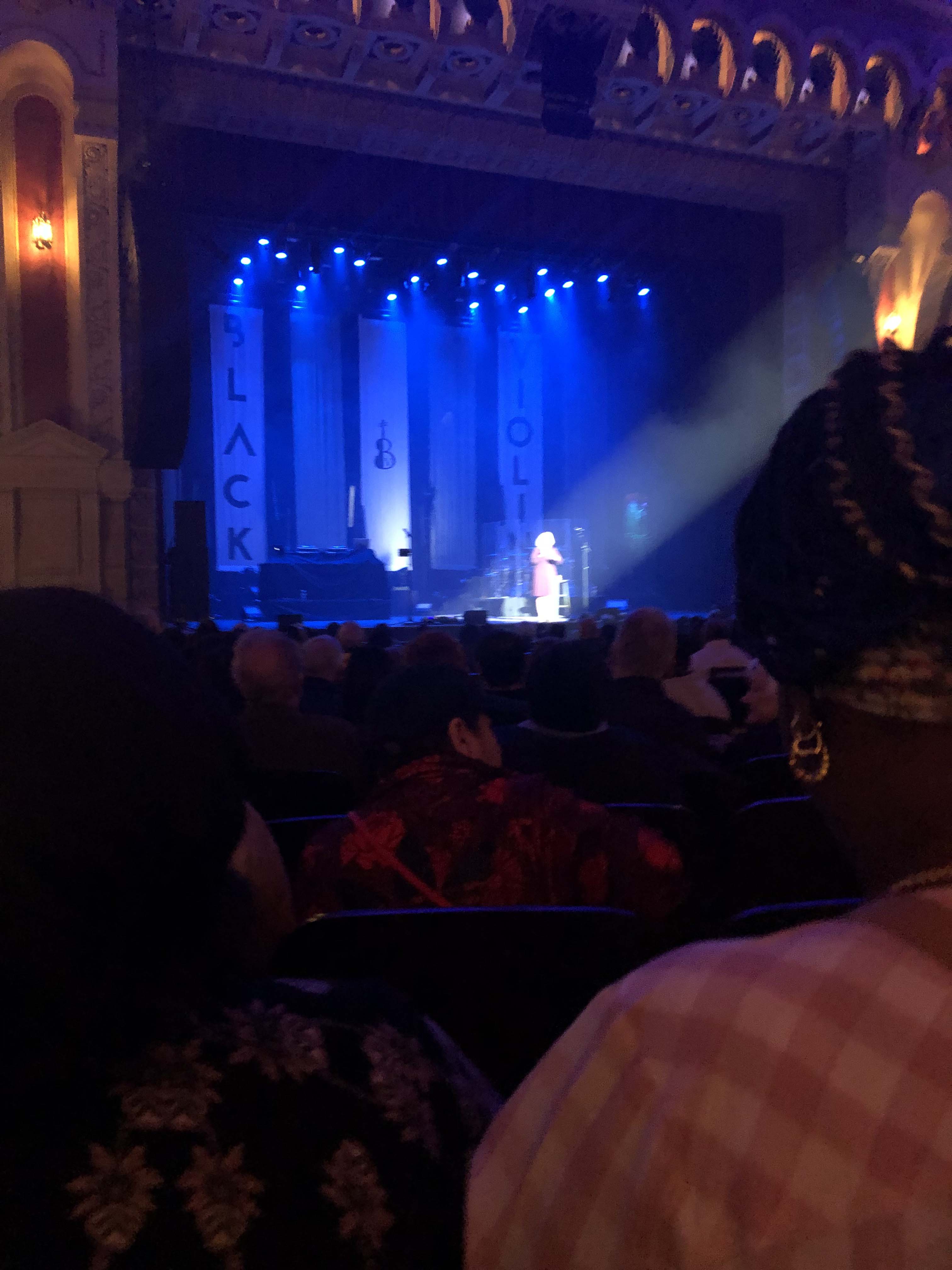 New Standard Black Violin